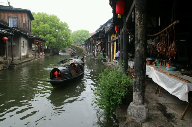 救援快乐的兔子